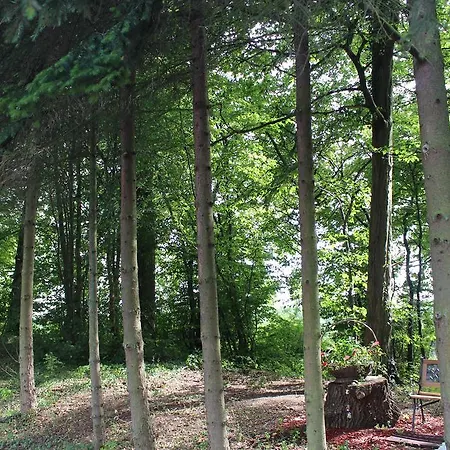 Motel Drive In Capellen