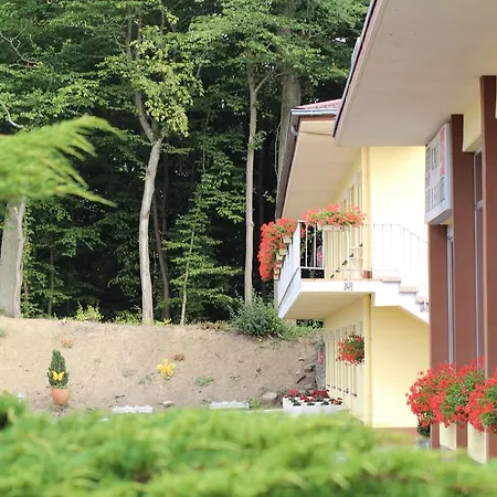 Drive In Motel Capellen