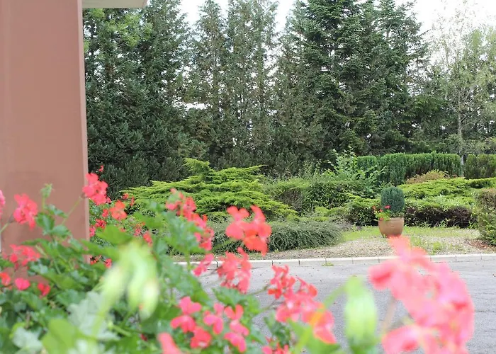 驾驶概念汽车旅馆