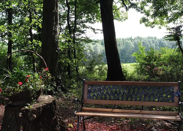 驾驶概念汽车旅馆 Capellen