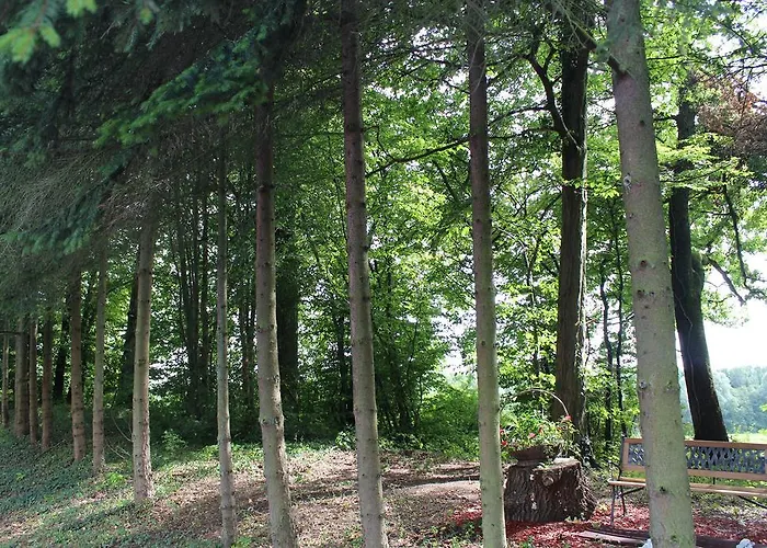 Motel Drive In Capellen